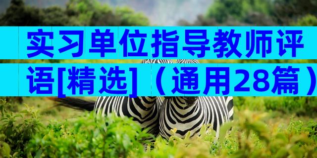 实习单位指导教师评语[精选]（通用28篇）